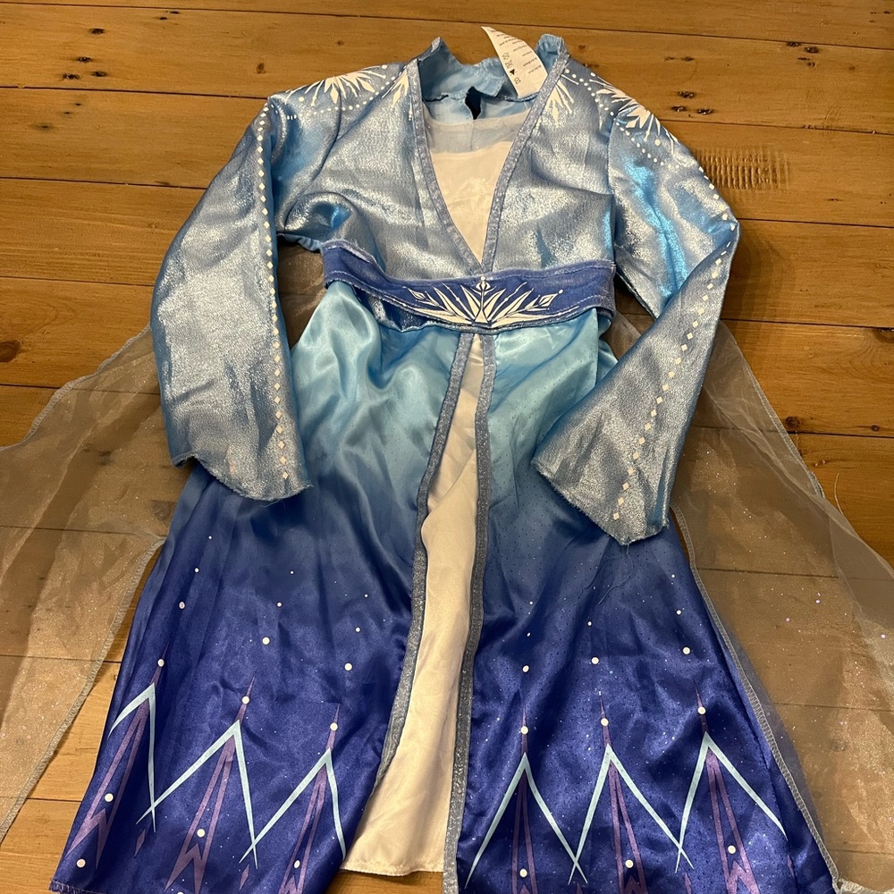 Disney Elsa Dress/Halloween costume